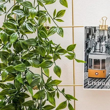 Sao Jose By Spoton Appartement